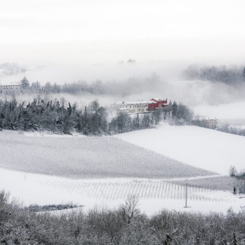 Snow and mist cover the hills of Moncalvo, Basso Monferrato