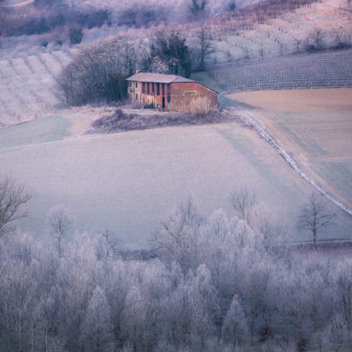 Framhouse on a frosty morning between Grazzano Badoglio and Grana. Monferrato,AT. Piedmont, Italy