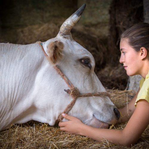 Gloria creates a strong bond with her animals