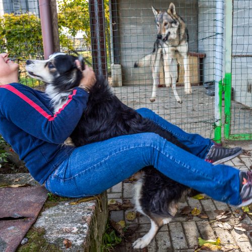 Giorgia relaxes with her dogs
