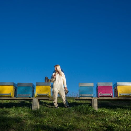 Silvia with some of her hives