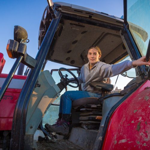 Gloria does much of the heavy work by tractor