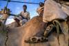 Camel-riders, Sudan